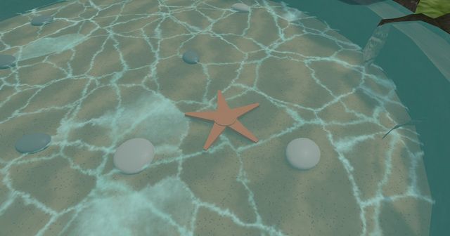 Looking down into the tidepool: an orange starfish and pebbles on sand under moving light.